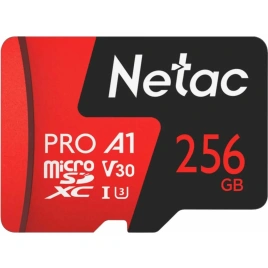 Карта памяти Netac SDXC class 10 (NT02P500PRO-256G-R)