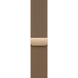 Смарт-часы Apple Watch Series 11 42mm Natural Titanium Case with Gold Milanese Loop