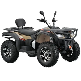 Квадроцикл Kugoo K6 Black