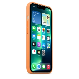 Силиконовый чехол Apple MagSafe для iPhone 13 Pro Spring Mimosa