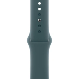 Ремешок Apple Watch 42mm Lake Green Sport Band M/L