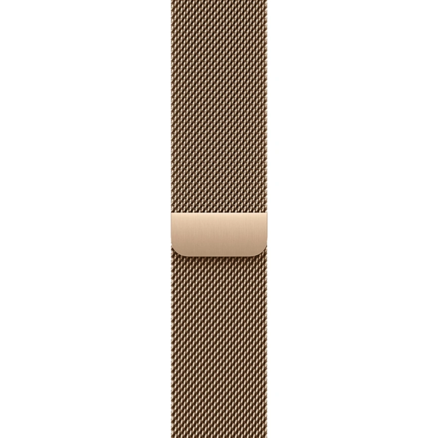 Смарт-часы Apple Watch Series 11 42mm Natural Titanium Case with Gold Milanese Loop фото 3