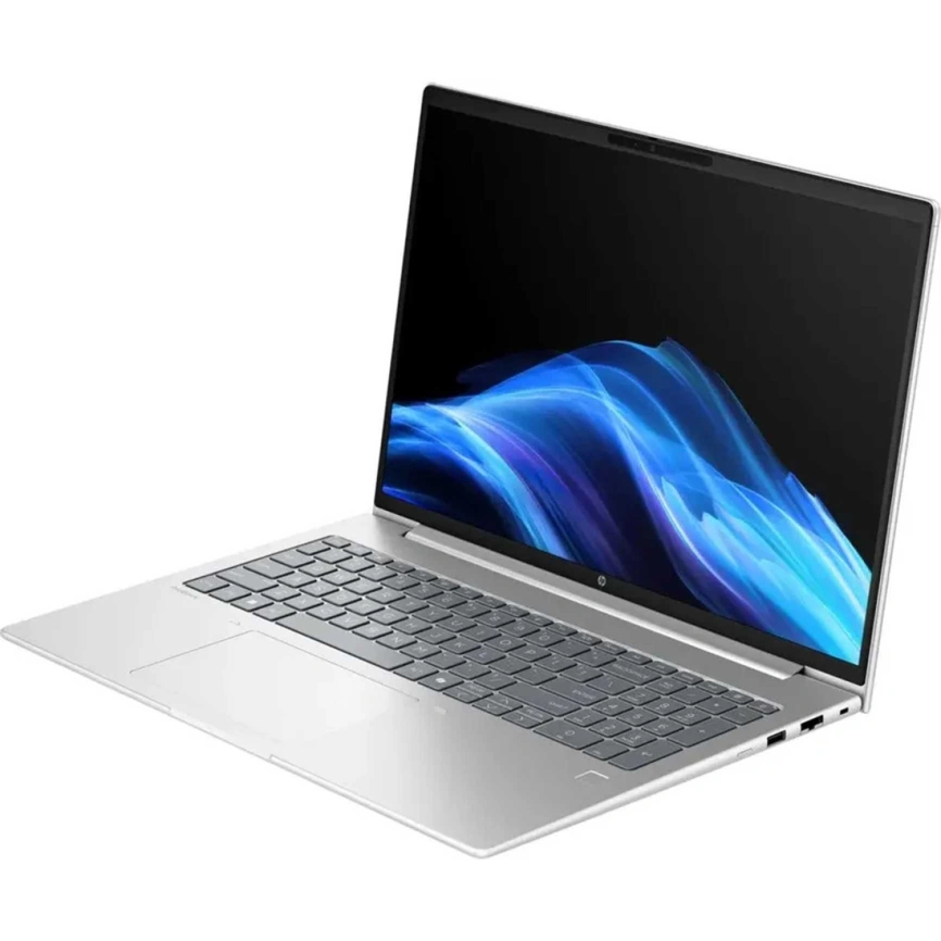 Ноутбук HP ProBook 4 G1i 14 IPS/ i5-225U Ultra/16GB/256GB SSD (BB3Q4UT) Pike Silver фото 1
