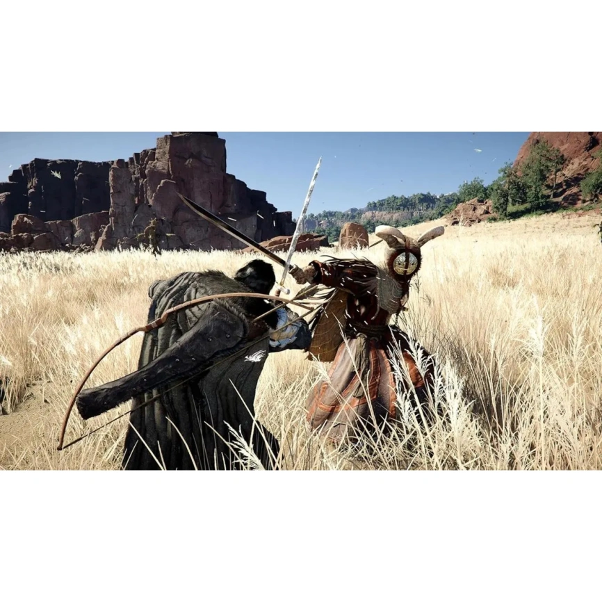 Игра Sony Crimson Desert (Русские субтитры) (PS5) фото 3