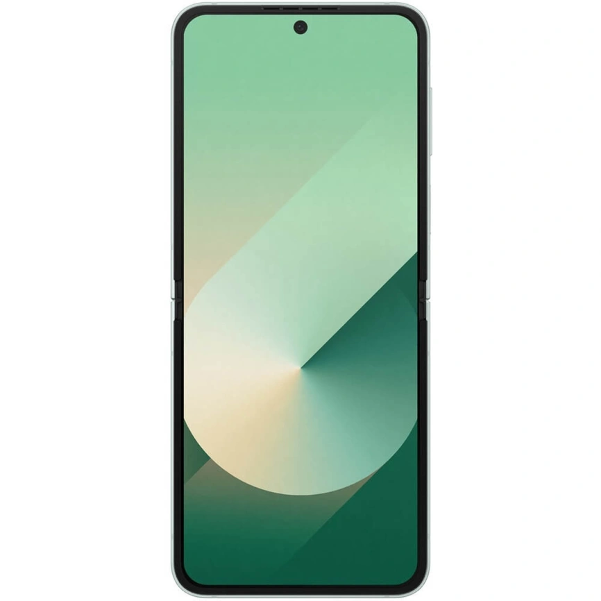 Смартфон Samsung Galaxy Z Flip6 12/512GB Mint фото 2